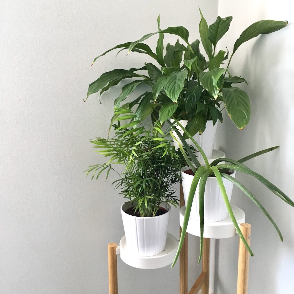 An ikea planter and pots with plants.