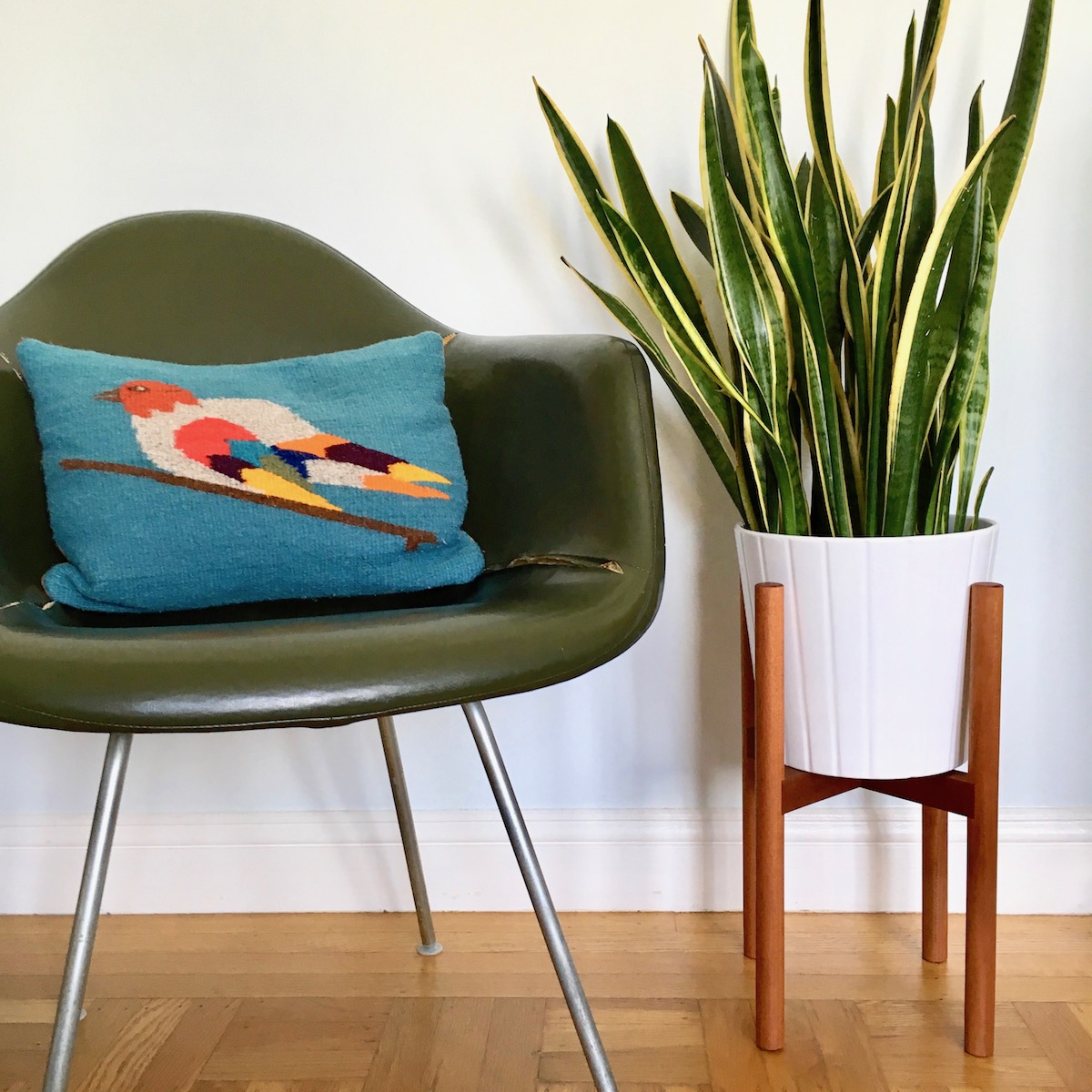 An Eames shellchair with a colorful pillow next to a white plant pot with a snake plant on a wooden midcentury style stand with 4 legs.
