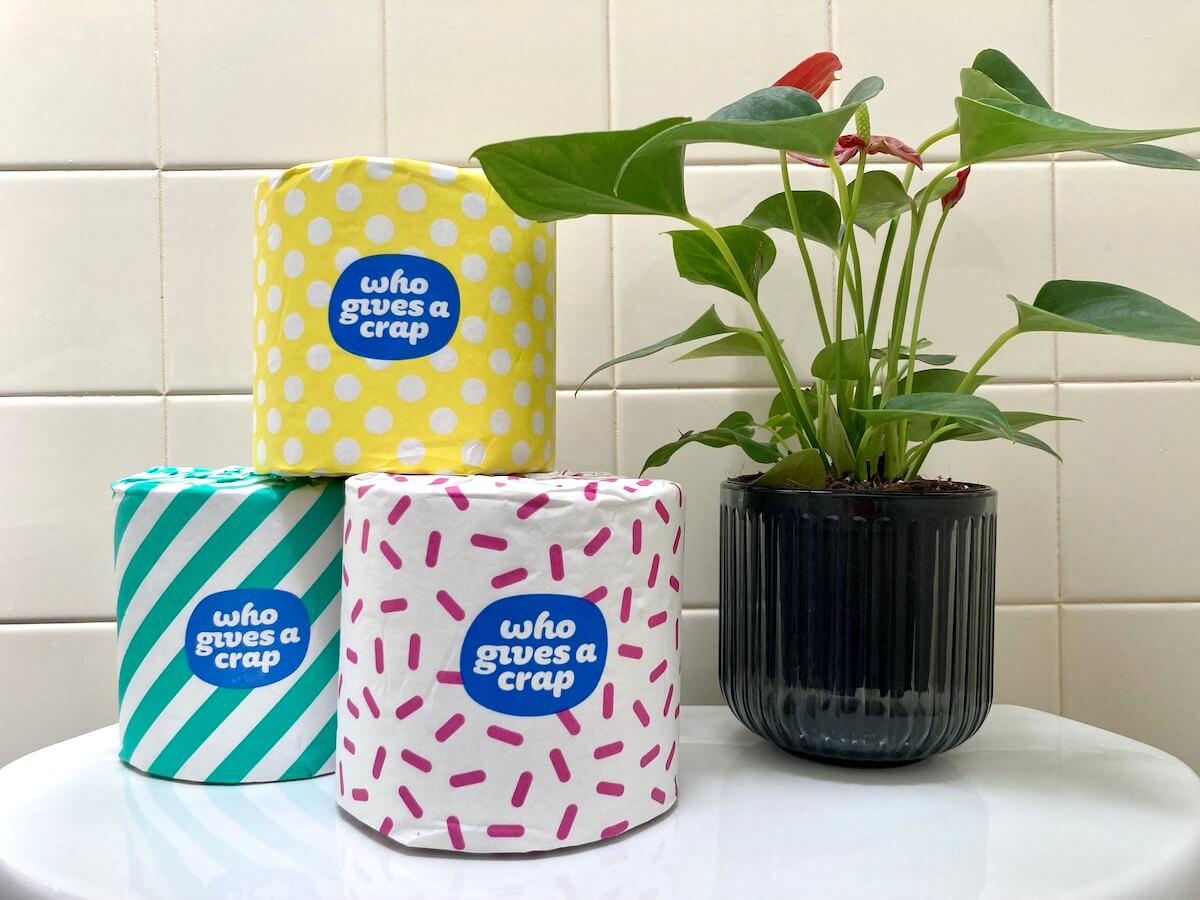Three rolls of Who Gives a Crap toilet paper next to a potted tropical plant.