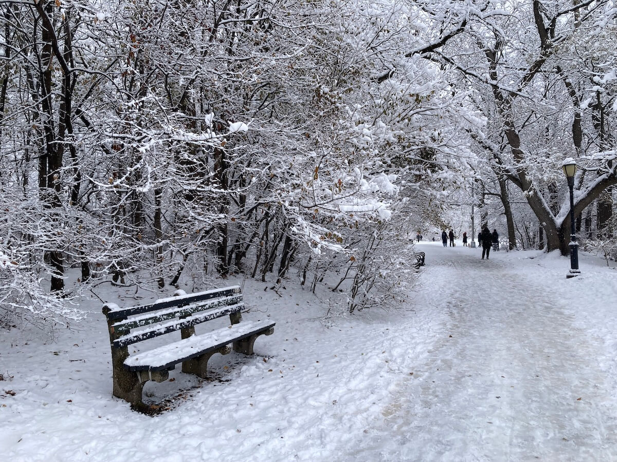 Snow in a park along a path with trees and a bench.